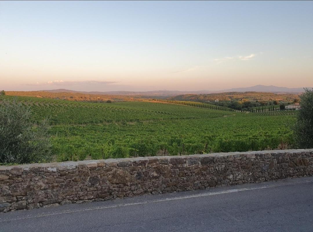 Casa Guardiavigna In Chianti Daire San Gusme Dış mekan fotoğraf